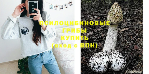 прущие крисы Коряжма