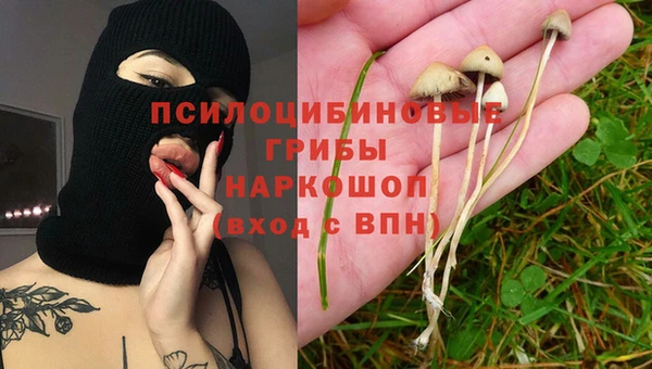 гашик Костерёво