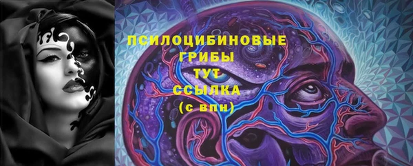 гашик Костерёво