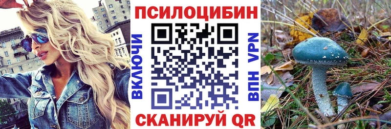 Галлюциногенные грибы GOLDEN TEACHER Купить закладки Бабушкин